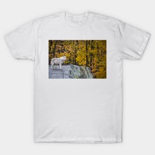 Arctic Wolf T-Shirt
